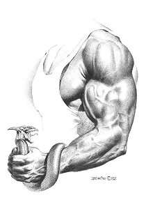 Arm, Boris Vallejo