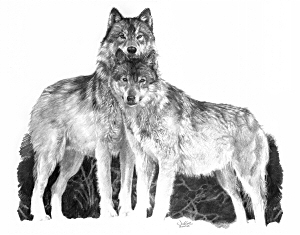 The Pack, Julie Bell